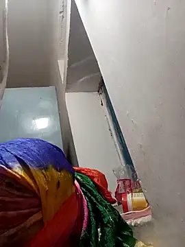 Payal950 online show from November 25, 2025, 11:59 pm