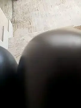 TaraWild online show from February 4, 2026, 1:28 pm