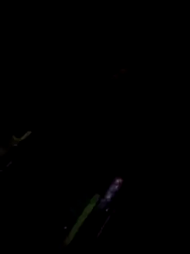 Snapshot of TSPRAJ0 chatting on November 15, 2025, 5:17 pm TSPRAJ0 online show from November 15, 2025, 5:17 pm