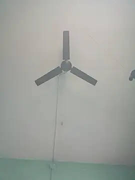 ShinuRoy online show from January 12, 2026, 2:07 am