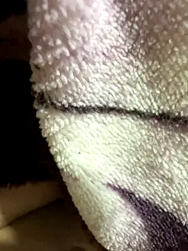 Snapshot of anhyeucuaemdayne chatting on November 9, 2025, 5:06 pm anhyeucuaemdayne online show from November 9, 2025, 5:06 pm