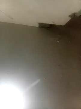 Snapshot of Bebicho14 chatting on September 16, 2025, 5:19 am Bebicho14 online show from September 16, 2025, 5:19 am