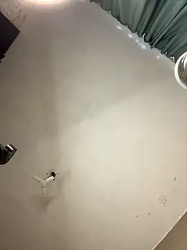 PollyVinice online show from February 12, 2026, 10:26 am