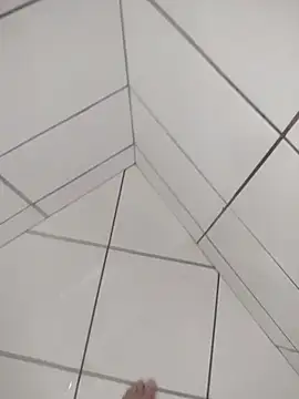 Novin23cms online show from December 19, 2025, 4:09 pm