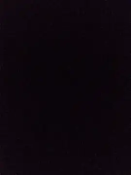 Snapshot of hairy_mannn chatting on June 29, 2026, 12:50 am hairy mannn online show from June 29, 2026, 12:50 am