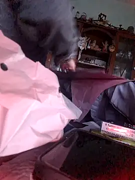 TigreBianca27 online show from November 6, 2025, 3:49 pm