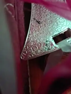 Lavanyaatelugu online show from November 15, 2025, 5:11 am