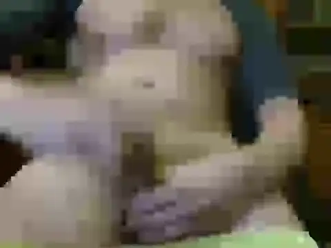 italian max sex online show from November 21, 2025, 11:26 pm