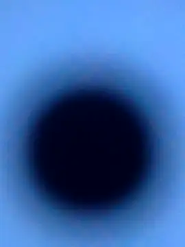 Snapshot of silversage92 chatting on October 5, 2025, 8:21 pm silversage92 online show from October 5, 2025, 8:21 pm