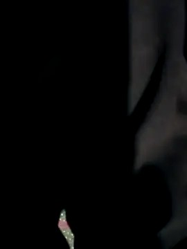 Sapnaji500 online show from March 31, 2026, 5:48 pm