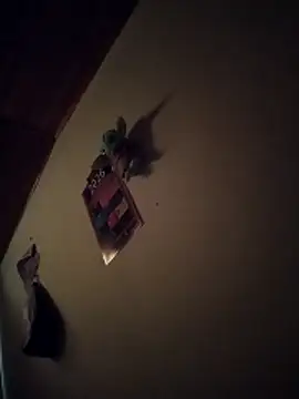 Alexis0922 online show from April 18, 2026, 2:19 pm