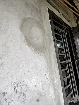 Tin tanny online show from February 21, 2026, 12:34 am