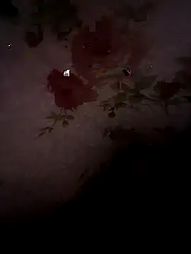 Snapshot of SummerArthur chatting on September 30, 2025, 9:10 pm SummerArthur online show from September 30, 2025, 9:10 pm