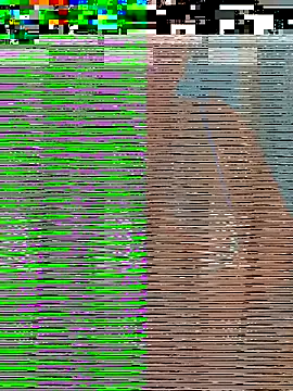 Jalebi bay online show from November 27, 2025, 10:16 am