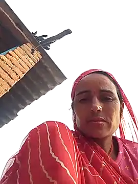 Jalebi bay online show from October 15, 2025, 2:21 am