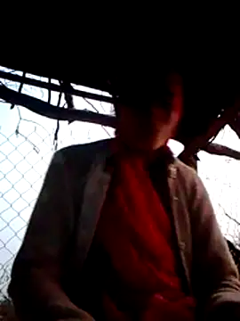 H seema online show from December 1, 2025, 12:17 pm