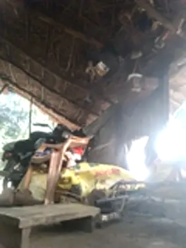 LUCKY cut online show from November 18, 2025, 2:27 am