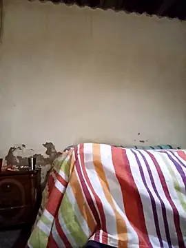 average price online show from November 12, 2025, 4:16 am