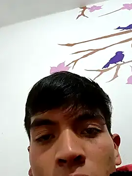 DavidVergagigante420 online show from November 17, 2025, 2:59 am