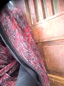 Hot-dasi52 online show from December 23, 2025, 7:40 am