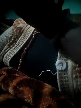 Hot-dasi52 online show from January 11, 2026, 3:41 pm