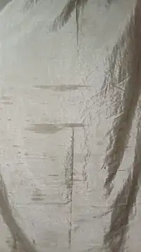 Sweeddickyyy2025 online show from March 20, 2026, 7:15 pm