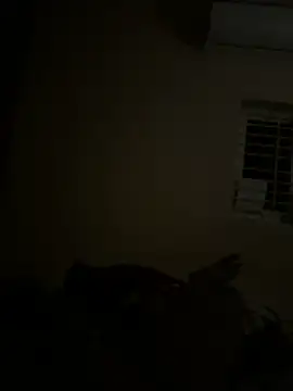 Chaitu-teluguhot online show from February 27, 2026, 7:03 pm