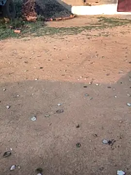 Snapshot of Ag_punam chatting on February 10, 2026, 2:10 am Ag punam online show from February 10, 2026, 2:10 am