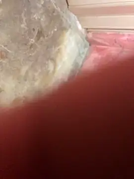 luzmelzinha online show from November 20, 2025, 1:45 pm