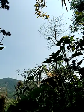 kemtuoi-sex online show from April 8, 2026, 3:19 am