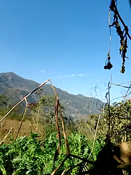 kemtuoi-sex online show from February 5, 2026, 8:10 am