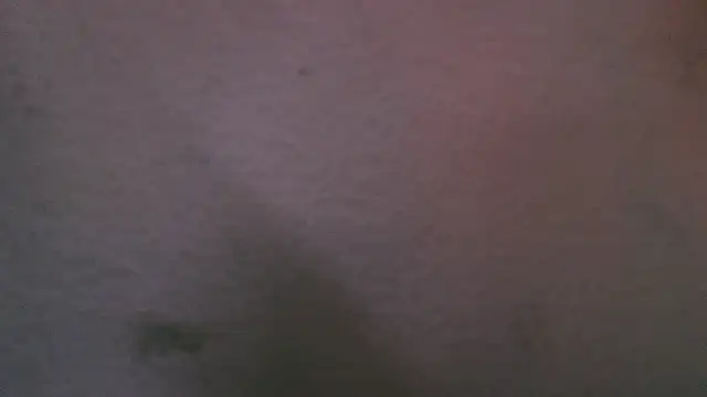 abbyrouss  online show from October 16, 2025, 3:04 am