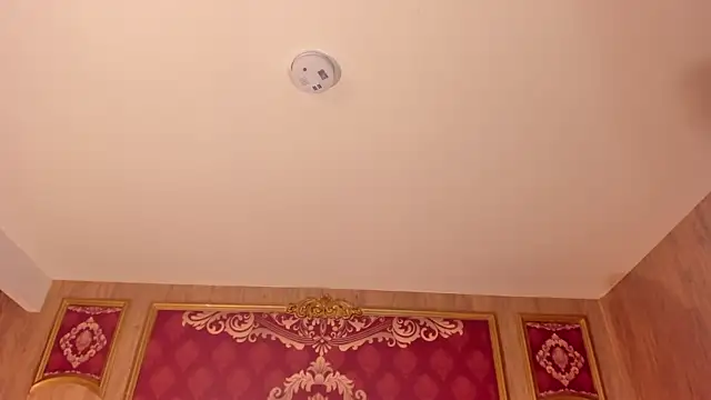 Helenstanford online show from September 26, 2025, 1:07 pm