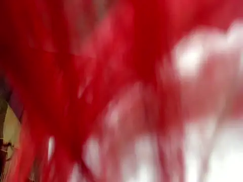 franchescadoll online show from October 6, 2025, 9:32 am