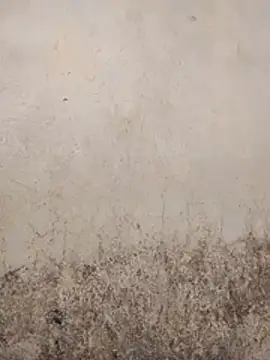 SSexykute3456 online show from December 23, 2025, 6:23 am