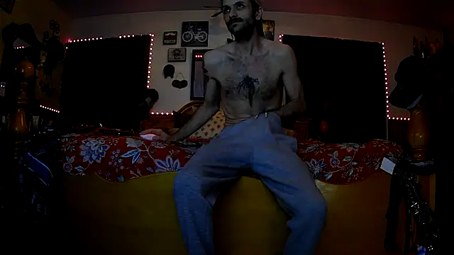 HarmoniousPhantasm3 online show from December 2, 2025, 1:50 am