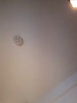 Snapshot of Andrestarr chatting on March 11, 2026, 6:46 pm Andrestarr online show from March 11, 2026, 6:46 pm