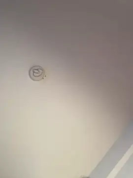 Snapshot of Andrestarr chatting on March 19, 2026, 2:28 pm Andrestarr online show from March 19, 2026, 2:28 pm