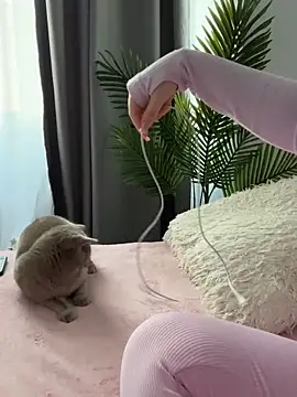 Snapshot of Andrestarr chatting on March 14, 2026, 2:56 pm Andrestarr online show from March 14, 2026, 2:56 pm