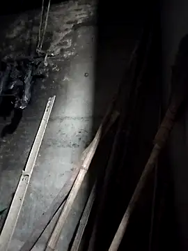 Snapshot of Dung_x chatting on March 23, 2026, 12:27 pm Dung x online show from March 23, 2026, 12:27 pm