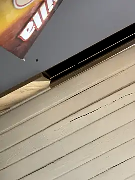 SienaWild online show from December 1, 2025, 3:18 am