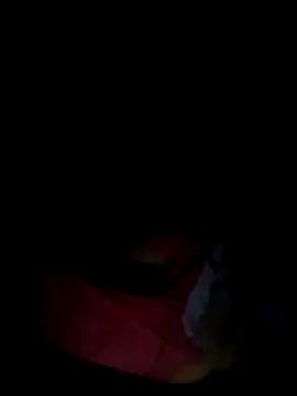 Rosabela04 online show from February 12, 2026, 8:03 am