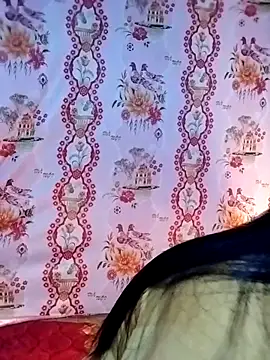 Damhan12 online show from February 13, 2026, 1:16 am