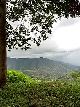 sky-wolves online show from November 22, 2025, 9:46 pm