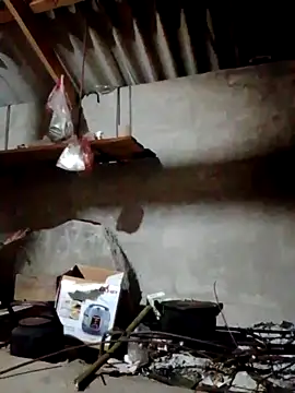 donna-bae online show from April 12, 2026, 10:13 pm