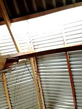 donna-bae online show from March 19, 2026, 4:34 am