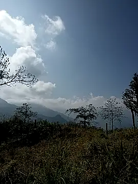 tulipsexy online show from January 17, 2026, 5:44 am