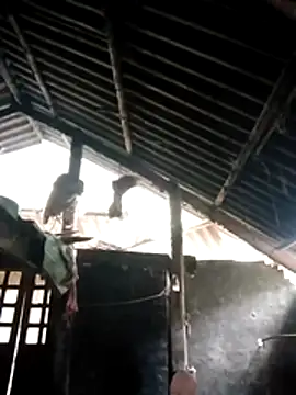 Biu xx online show from December 20, 2025, 12:57 am