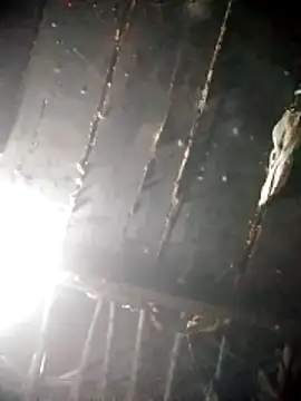 Biu xx online show from December 21, 2025, 11:27 pm