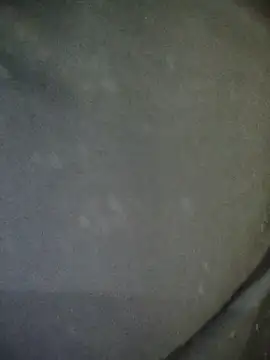 Disha- 00 online show from December 23, 2025, 4:56 am